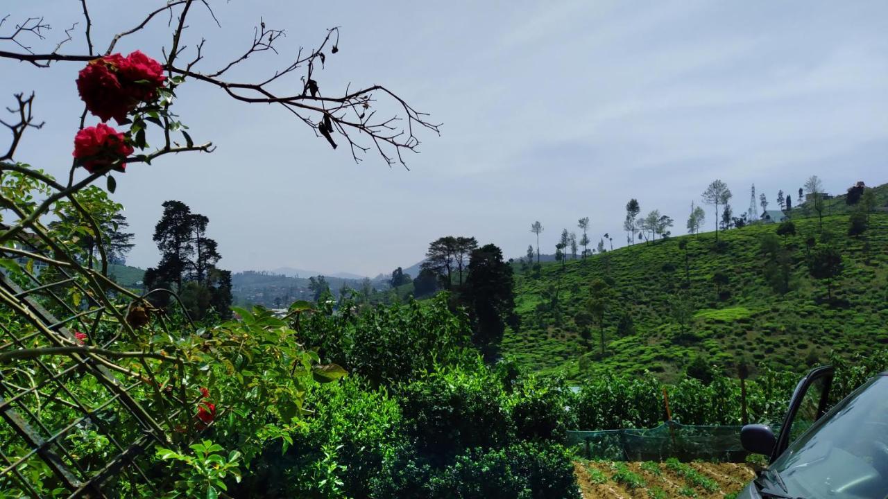 Shirin1892 Konuk evi Nuwara Eliya Dış mekan fotoğraf